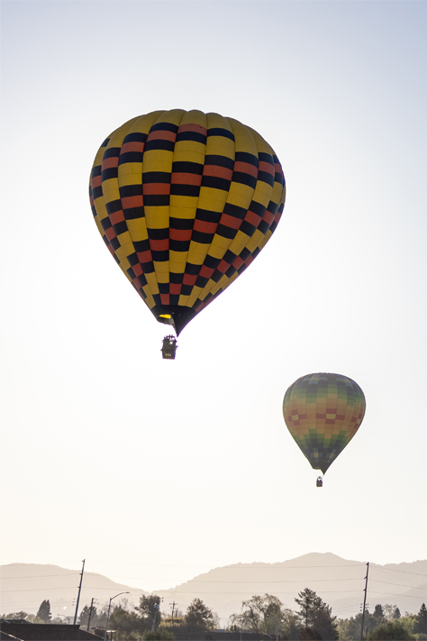 Material & Craftsmanship