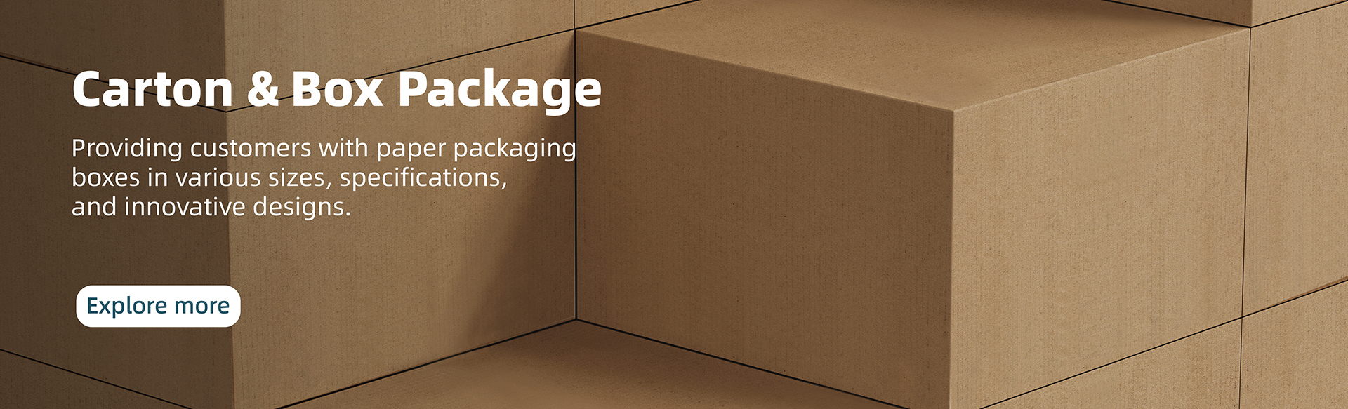 Carton &Box Package